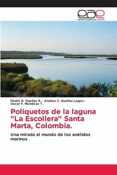 Poliquetos de la laguna "La Escollera" Santa Marta, Colombia.