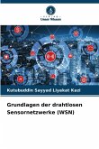 Grundlagen der drahtlosen Sensornetzwerke (WSN)