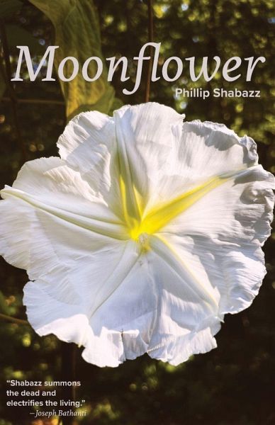 Moonflower Moonflower