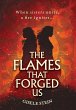 The Flames That Forged Us - Bild 1
