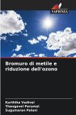 Bromuro di metile e riduzione dell'ozono