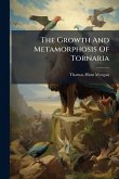 The Growth And Metamorphosis Of Tornaria