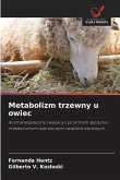 Metabolizm trzewny u owiec