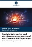 Soziale Netzwerke und der Genesungsprozess auf der Fazenda da Esperança