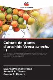 Culture de plants d'arachide(Areca catechu L)