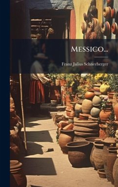 Messico... - Schneeberger, Franz Julius