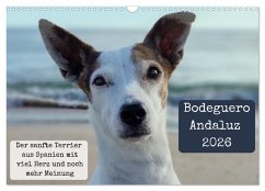 Cover Ratonero Bodeguero Andaluz (Wandkalender 2026 DIN A3 quer), CALVENDO Monatskalender