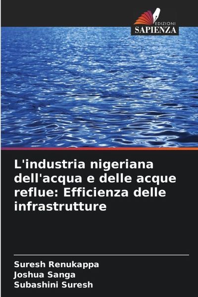 L'industria nigeriana dell'acqua e delle acque reflue: Efficienza delle infrastrutture L'industria nigeriana dell'acqua e delle acque reflue: Efficienza delle infrastrutture