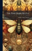 The Pine Bark Beetle The Pine Bark Beetle