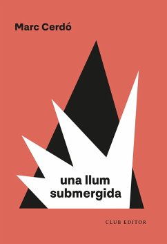 Una llum submergida (eBook, ePUB) Cover Una llum submergida (eBook, ePUB)
