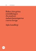 Risker i den gröna omställningen (eBook, ePUB)