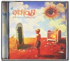 Stare Into The Seething Wounds