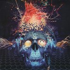 The Connection (Re-Release/Digipak) The Connection (Re-Release/Digipak)