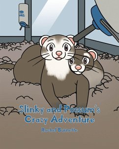 Cover Slinky and Possum's Crazy Adventure (eBook, ePUB)