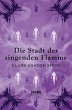 Die Stadt der singenden Flamme (eBook,... - Bild 1