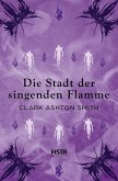 Die Stadt der singenden Flamme (eBook, ePUB) Die Stadt der singenden Flamme (eBook, ePUB)
