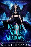 Knights of Souls and Shadows (eBook, ePUB)