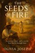 The Seeds Of Fire (eBook, ePUB) - Bild 1