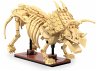 CaDA Dinosaurier Fossil Triceratops... - Bild 1