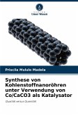 Synthese von Kohlenstoffnanoröhren unter Verwendung von Co/CaCO3 als Katalysator