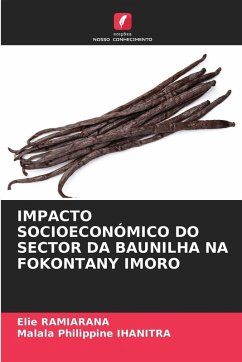 Cover IMPACTO SOCIOECONÓMICO DO SECTOR DA BAUNILHA NA FOKONTANY IMORO