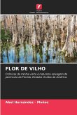 FLOR DE VILHO FLOR DE VILHO