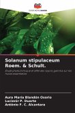 Solanum stipulaceum Roem. & Schult. Solanum stipulaceum Roem. & Schult.