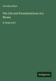 The Life and Perambulations of a Mouse