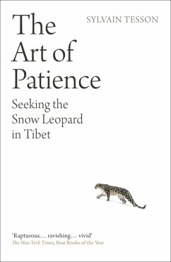 Cover The Art of Patience