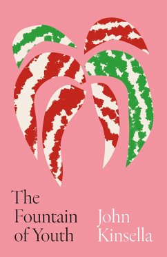 Cover The Fountain of Youth (eBook, ePUB)
