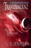 Transzendenz