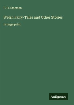 Cover Welsh Fairy-Tales and Other Stories