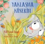 Yaklasma Küserim Yaklasma Küserim