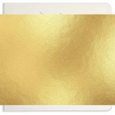 Our Big Book of Animals