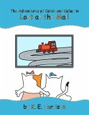 Lost At The Mall (eBook, ePUB)