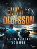 Tills ljuset kommer (eBook, ePUB) Tills ljuset kommer (eBook, ePUB)