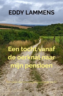 Cover Een tocht vanaf de oerknal naar mijn pensioen (eBook, ePUB)