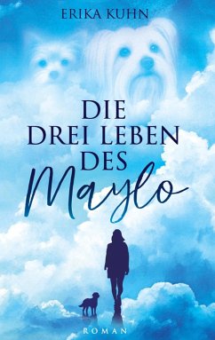 Die drei Leben des Maylo Cover Die drei Leben des Maylo