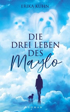 Die drei Leben des Maylo Cover Die drei Leben des Maylo