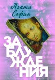 Misconceptions (eBook, ePUB) Misconceptions (eBook, ePUB)