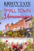 Small Town Shenanigans (eBook, ePUB)