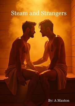 Cover Steam And Stranger (eBook, ePUB)