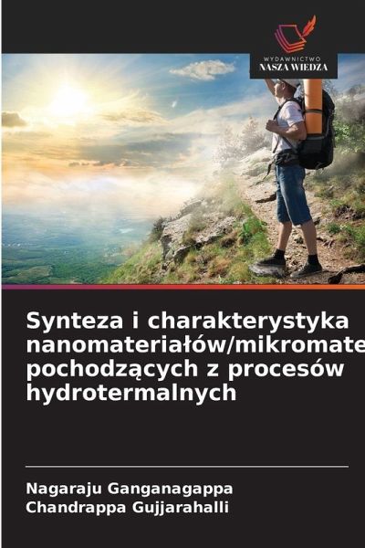Synteza i charakterystyka nanomateria¿ów/mikromateria¿ów pochodz¿cych z procesów hydrotermalnych