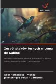 Zespó¿ ptaków le¿nych w Loma de Gabino