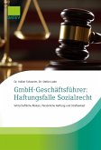 GmbH-Geschäftsführer: Haftungsfalle Sozialrecht GmbH-Geschäftsführer: Haftungsfalle Sozialrecht