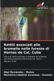 Rettili associati alle bromelie nelle foreste di Hornos de Cal, Cuba Rettili associati alle bromelie nelle foreste di Hornos de Cal, Cuba