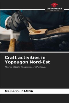 Cover Craft activities in Yopougon Nord-Est
