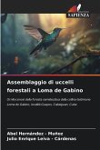 Assemblaggio di uccelli forestali a Loma de Gabino
