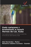 Gady zwi¿zane z bromeliami w lasach Hornos de Cal, Kuba Gady zwi¿zane z bromeliami w lasach Hornos de Cal, Kuba