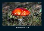 Pilzkalender 2026 Fotokalender DIN A4